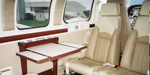 Beech Baron 58 view for Las Vegas charter